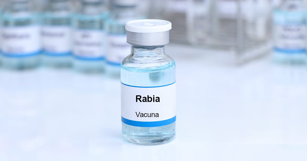 ¿Se acercan buenas noticias para las vacunas contra la rabia?