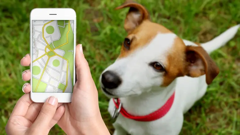 Por qué poner un AirTag en el collar de tu perro es una pésima idea