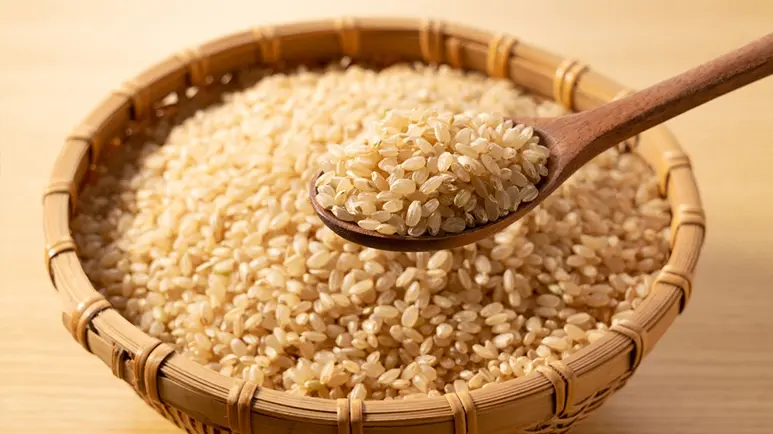Arroz integral: ¿deberías añadir esta fuente de nutrientes esenciales al plato de tu mascota?