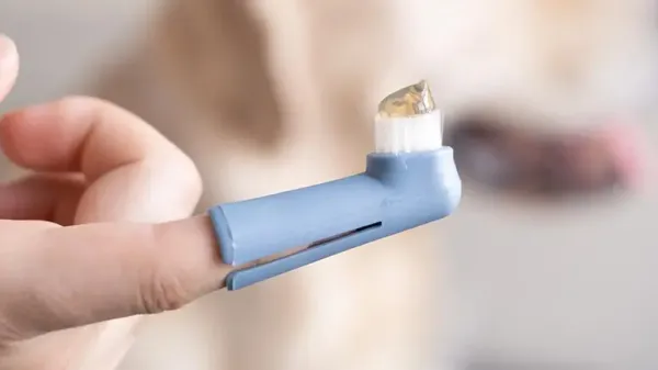 Qué buscar en la pasta de dientes de tu mascota