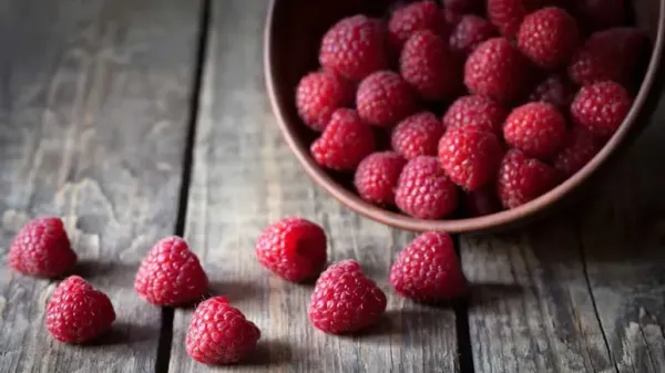Frambuesas: Lo que todo dueño de mascotas debe saber sobre esta fruta dulce
