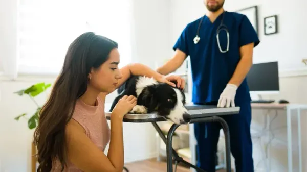 ¿Tu perro sufre esta condición que suele pasar desapercibida?