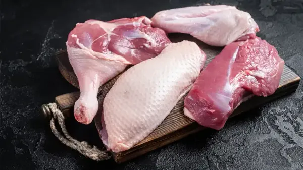 La carne de pato podría ser justo lo que tu mascota necesita