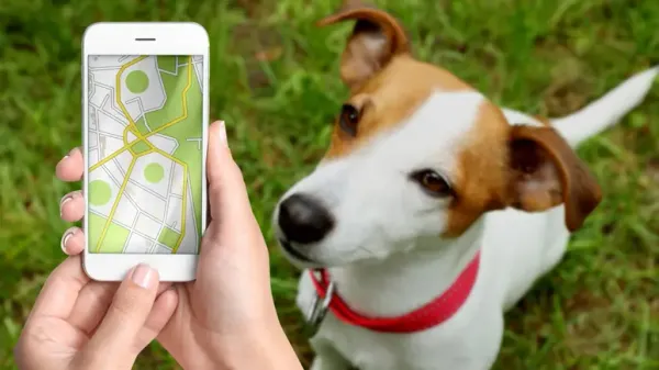 Por qué poner un AirTag en el collar de tu perro es una pésima idea