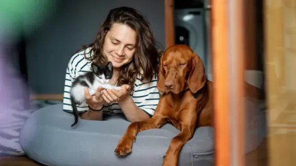 7 pasos que pueden salvarle la vida a tu mascota y que debes conocer