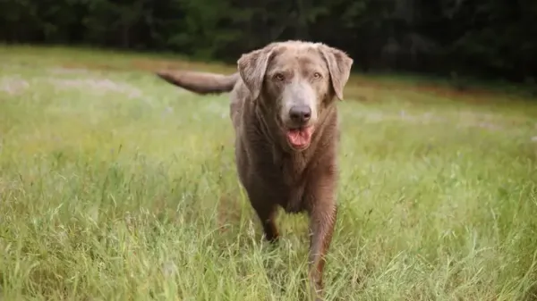 La nueva e innovadora forma de tratar las articulaciones